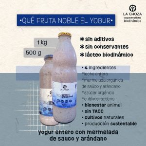 Yogur Descremado Arandano y Sauco 1Kg La Choza