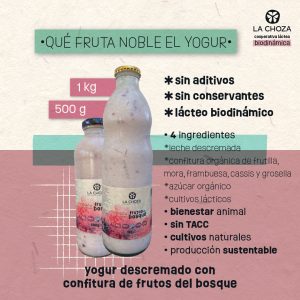 Yogur Descremado de Frutos del Bosque 500 g La Choza