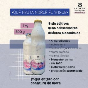 Yogur Entero de Mora 1Kg La Choza